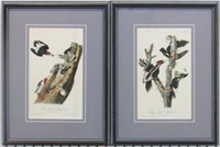 SET OF 2 WOODPECKERS BY JOHN J. AUDUBON