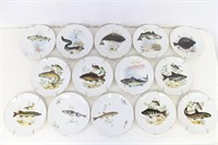 14 Bareuther & Kahla Gold Rimmed Fish Plates