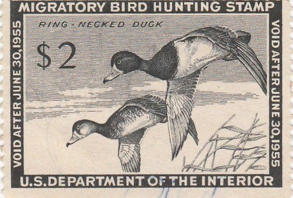 1955 Department of the Interior Duck Hunting Stamp