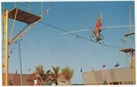 3"x5" Postcard Bicycle ride on the high wire