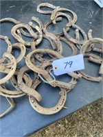 25+ OF THE LUCKIEST HORSESHOES IN AMERICA