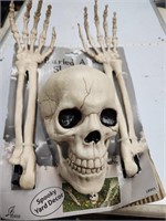 Buried Alive Skeleton