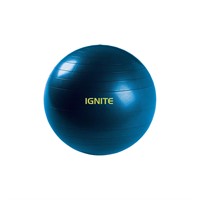 SPRI Stability Balance Ball  55cm