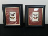 Pair of Matted and framed butterfly wall decor
