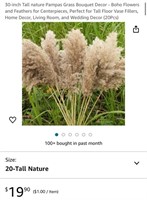 PAMPAS GRASS QTY 3 PKS (NEW)