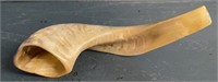 Shofar Horn Instrument