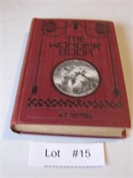 1915 The Wonder Book by W.E. Shepard