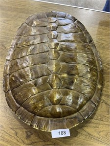 Faux Turtle Shell Decor Piece