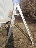6' Step Ladder/Extension