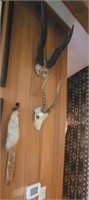 Two Animal Horns, Knife, Fur Tail