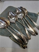 Community plate spoons