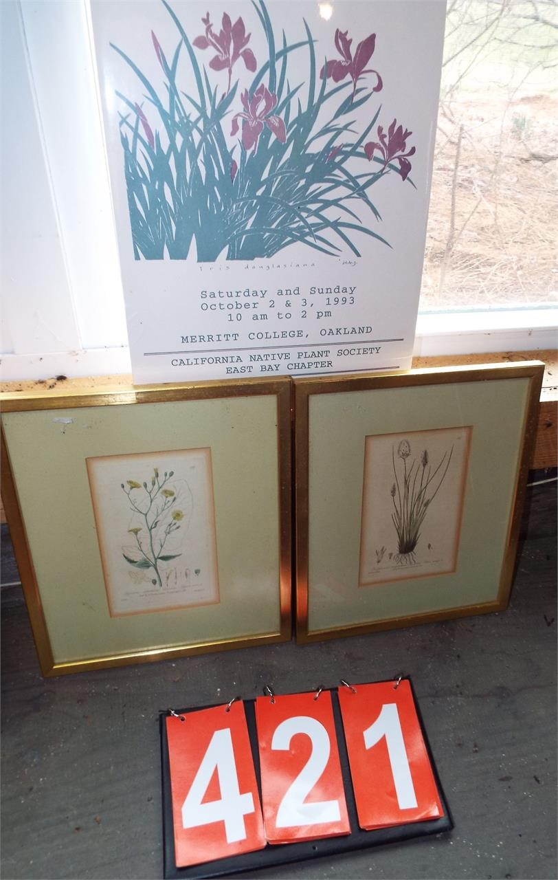 2 floral framed prints & ’93 Native Plants poster
