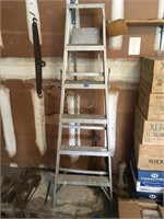 6ft. Aluminum ladder