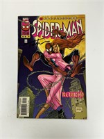 Autograph COA Spiderman #241 Comics