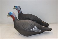 (2) TURKEY DECOYS