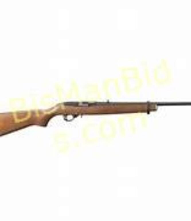 RUGER 10/22 CARBINE .22LR BLUED HARDWOOD