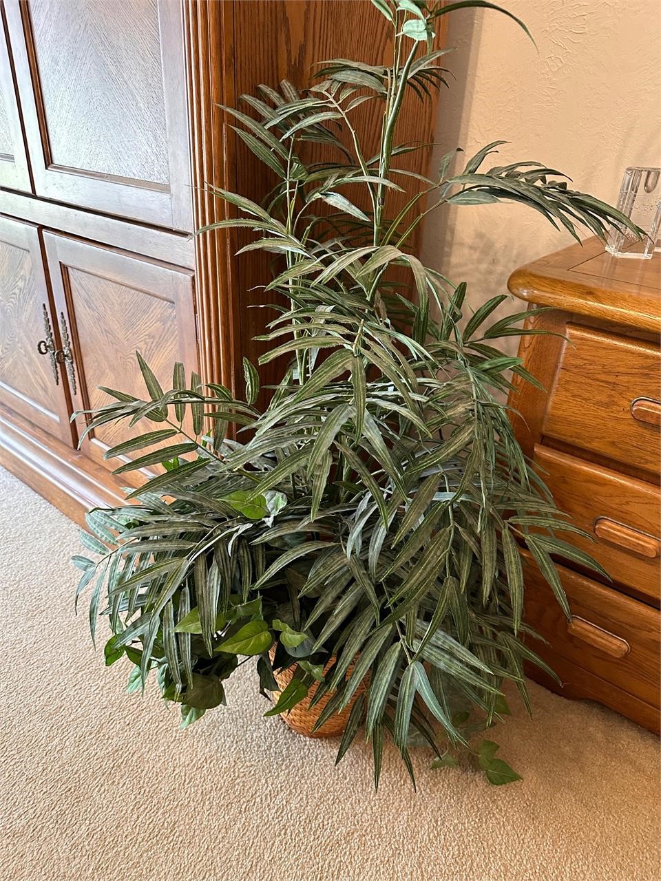 Large plant in basket