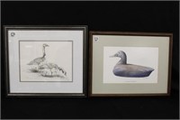 2pc Decoy/Goose Prints 15" x 14" framed