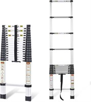 $238 (6.2M) Telescopic Ladder