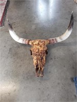 Longhorn Skull 35 inches wide