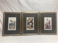 Set of 3 Signed and Numbered Bird Prints