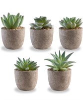 NEW 5-Pcs Artificial Succulent Plants