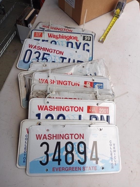24 Washington License Plates (pairs)