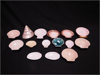 13 china shells from 3 1/2" to 5 1/2" ; plus a
