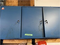 BLUE WALL CABINET