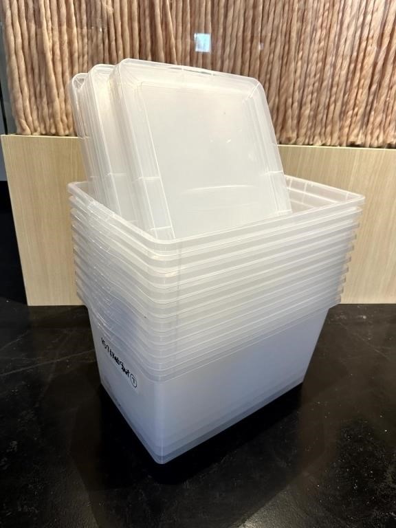 Lot of 10 Storage Tubs with Lids