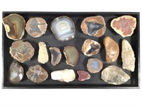 Polished Mineral Slabs & Fossils