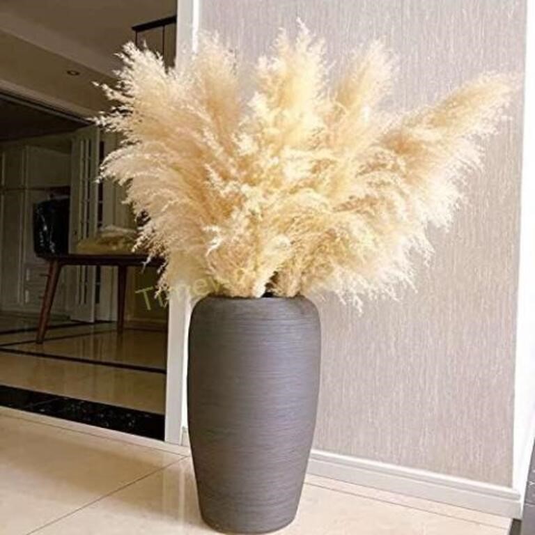 Natural Dried Pampas Grass 5 Stems  Beige (35.4)