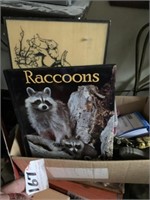 Raccoon Book ONLY!!!