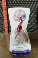 Xarelto heart/brain advertising model