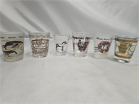 6 NICE SOUVENIR SHOT GLASSES