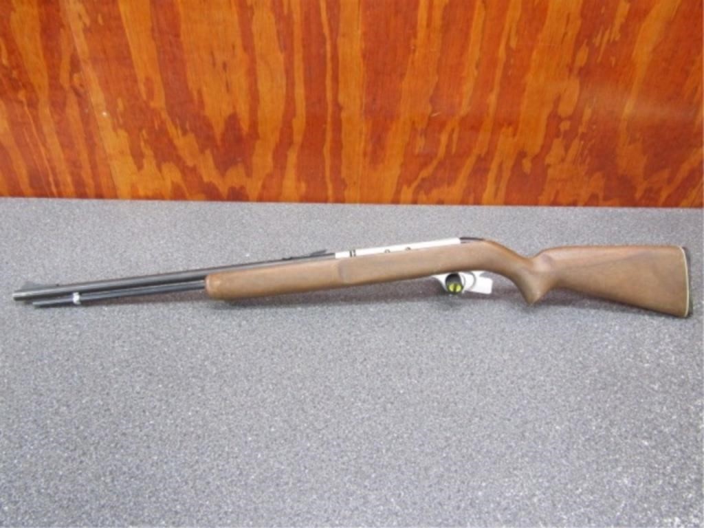 Savage 6DL 22S/L/LR, High Speed Shorts, Semi Auto