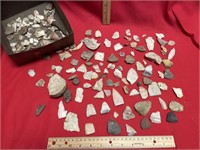 Various teeth, bones, fossils, arrowheads, and