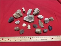 Artifacts, fossils, and arrowheads