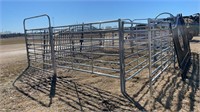 Cattle sweep catch pen and ally