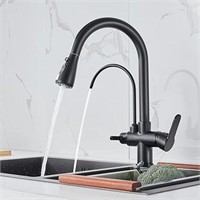 POPFLY Kitchen Sink Faucet with Drinking Water