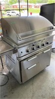 DCS by Fisher & Paykel gas grill