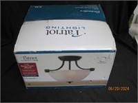 Nib flush mount ceiling light