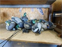 Approx 24 Mallard Decoys & gaft