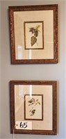 (4) Matching Framed Floral Prints