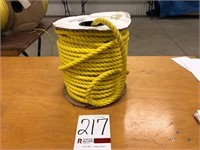 100% Poly 175' (Almost Full) Rope