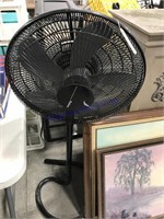 Floor fan