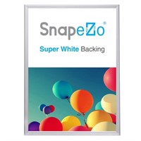 SnapeZo 23.4 x 33.1" (A1 Euro Size) Silver Poster
