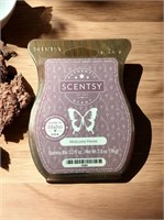 C8)  SCENTSY BARS new Welcome Home scent