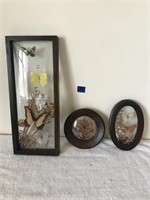 Lot of Insect Shadow Boxes