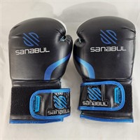 Sanabul 16 oz boxing gloves